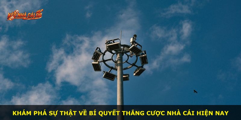 Khám phá sự thật về bí quyết thắng cược nhà cái hiện nay