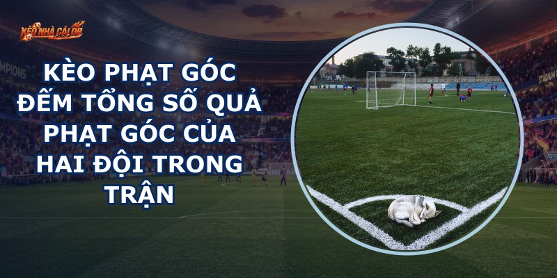 Kèo Phạt Góc