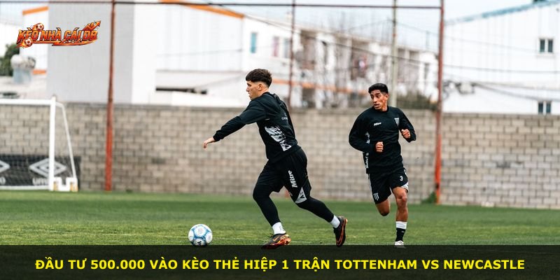 Đầu tư 500.000 vào kèo thẻ hiệp 1 trận Tottenham vs Newcastle