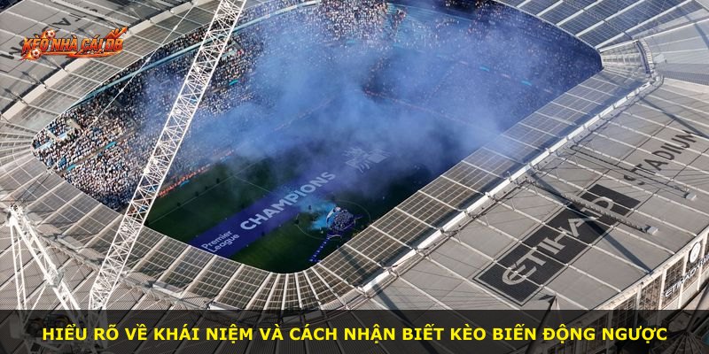 Hiểu rõ về khái niệm và cách nhận biết kèo biến động ngược