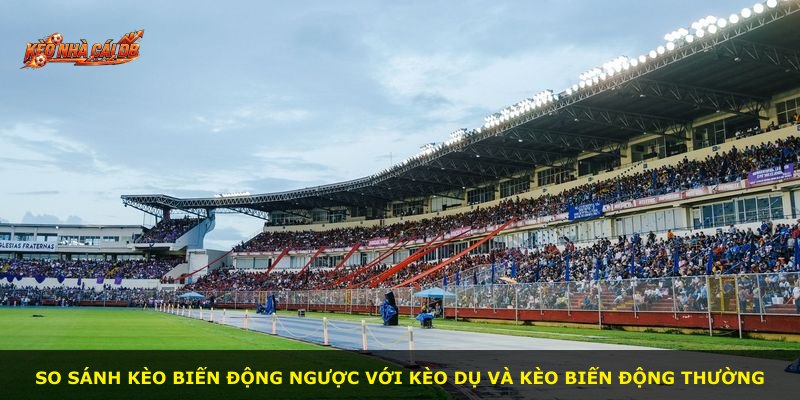 So sánh kèo biến động ngược với kèo dụ và kèo biến động thường