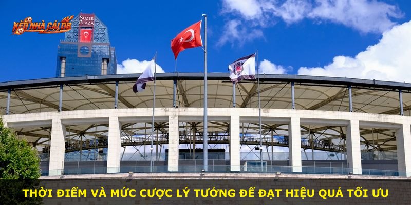 Thời điểm và mức cược lý tưởng để đạt hiệu quả tối ưu